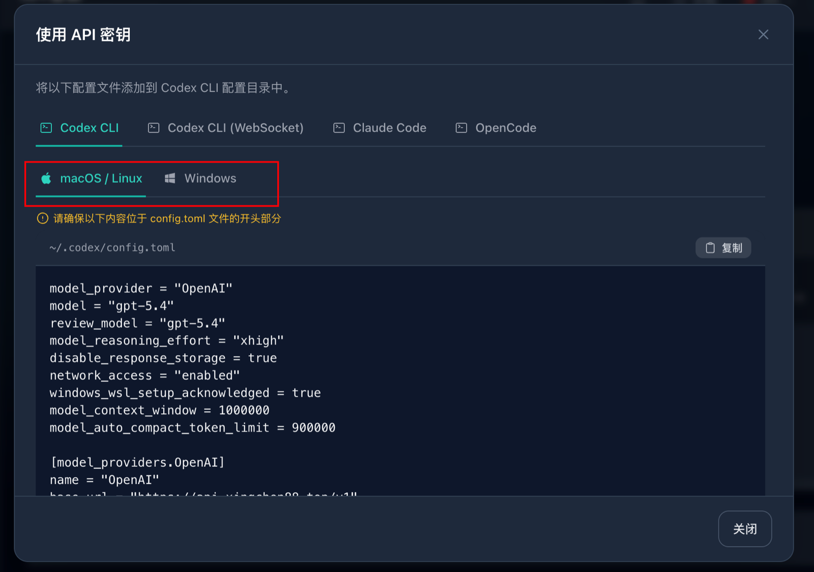 使用 API 密钥弹窗，选择 Codex CLI 和系统类型